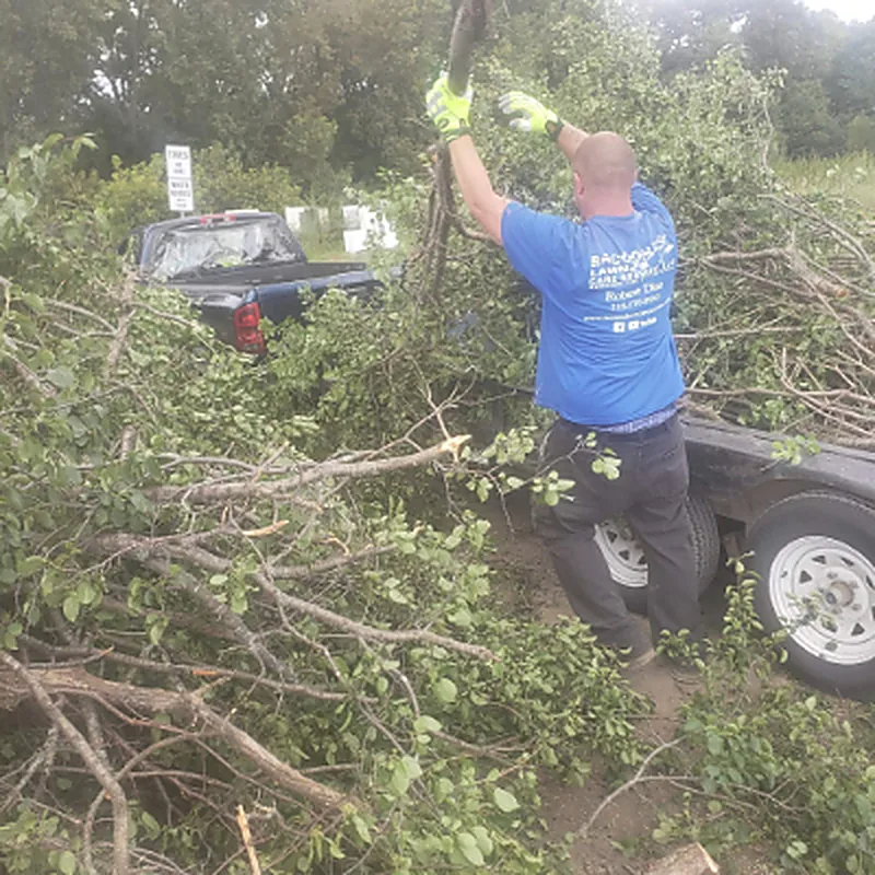 Spring and Fall Cleanups by Racoon Lawn Care Services, LLC in Pelican Rapids, Minnesota