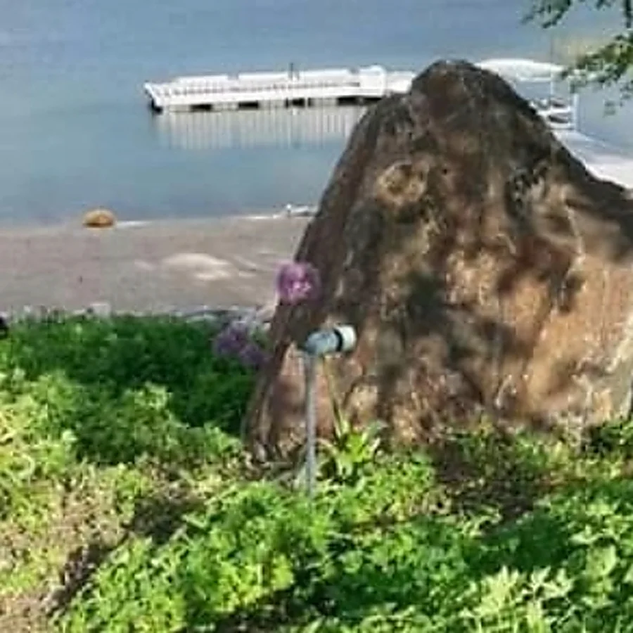 A planted shoreline bed around a large boulder with the lake and a dock behind it