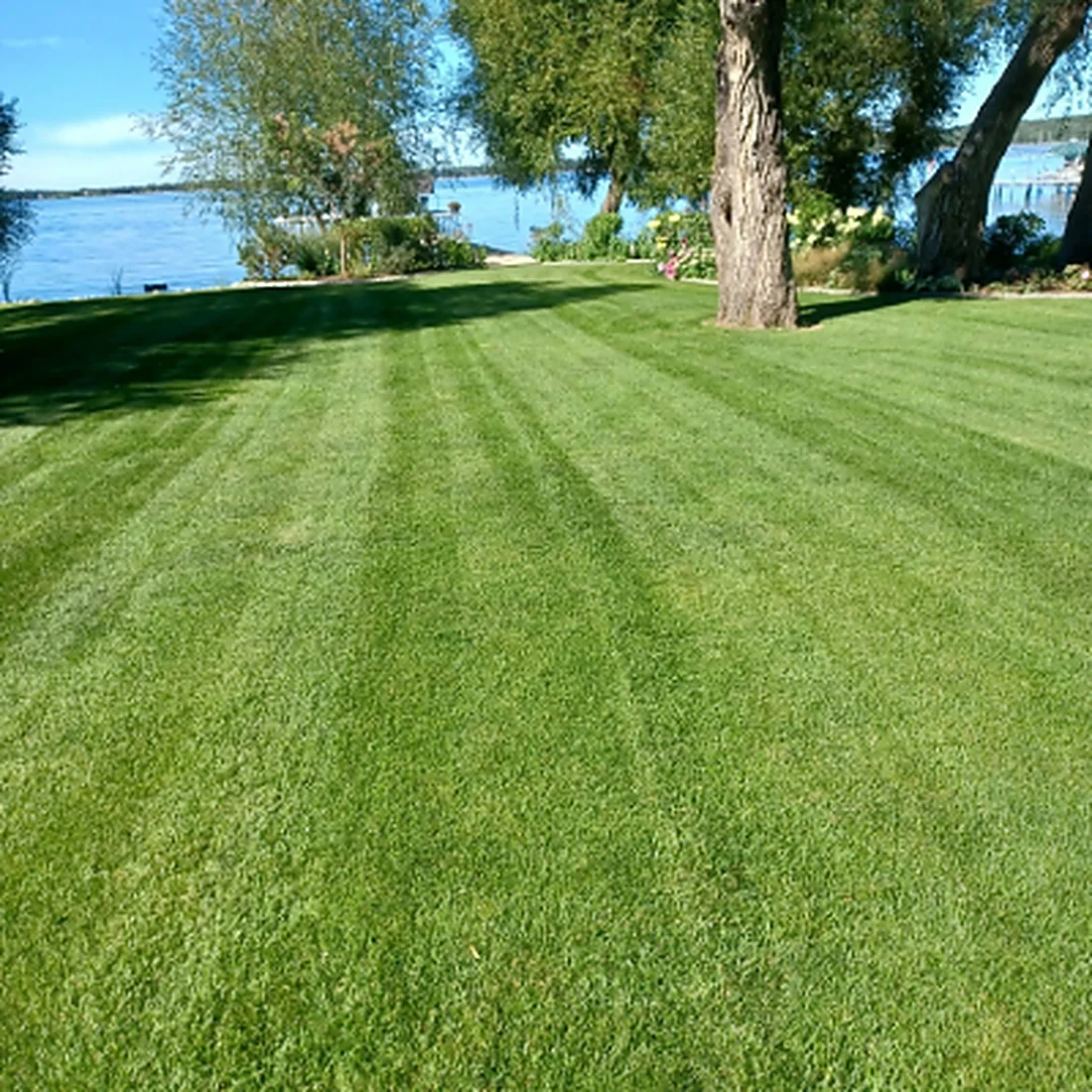 A freshly striped lawn running down to the lake with a dock and boat at the shoreline, mowed by Racoon Lawn Care Services, LLC