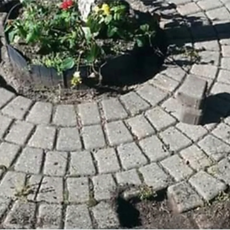 A circular paver feature with planting at the centre.