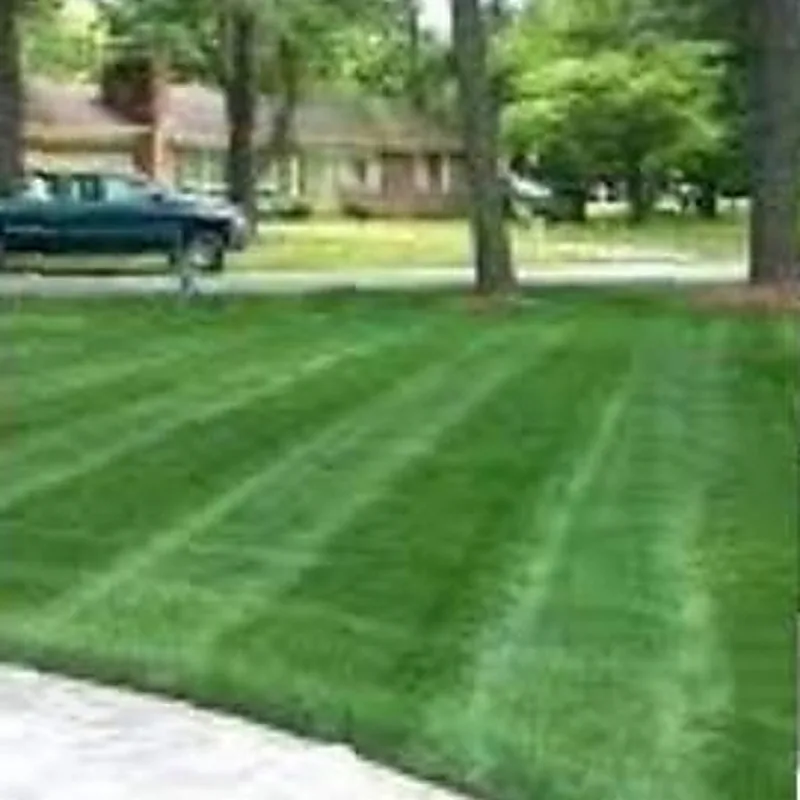 A striped lawn under mature shade trees running toward a lake home